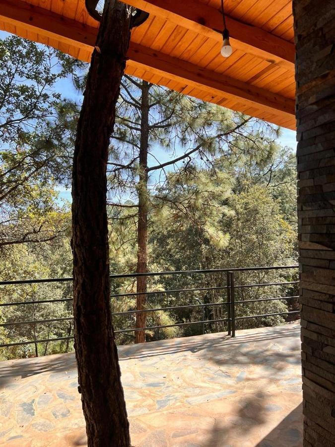 Cabana "Alexa", En El Corazon Del Bosque De Mazamitla Exteriör bild