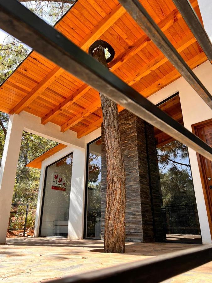Cabana "Alexa", En El Corazon Del Bosque De Mazamitla Exteriör bild