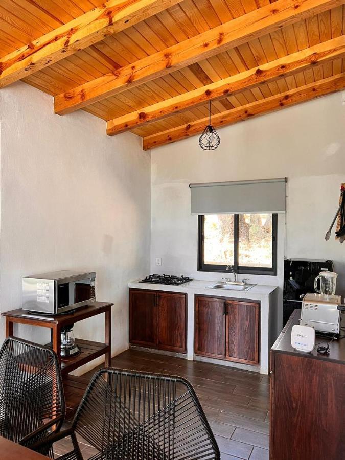 Cabana "Alexa", En El Corazon Del Bosque De Mazamitla Exteriör bild